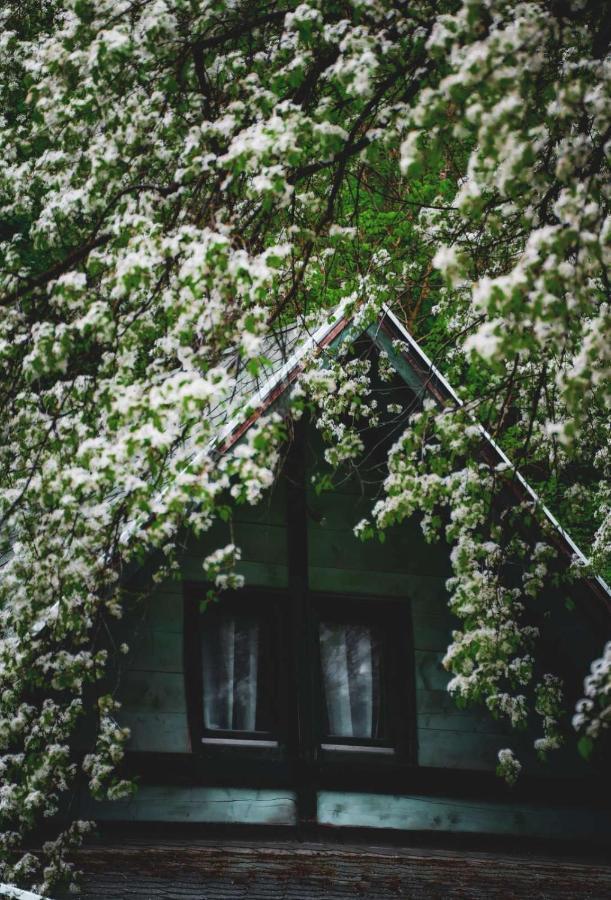 Vikendica,, Tadic,, Ovcar Banja Villa Exterior photo