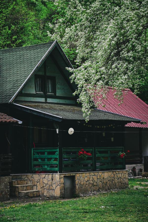 Vikendica,, Tadic,, Ovcar Banja Villa Exterior photo